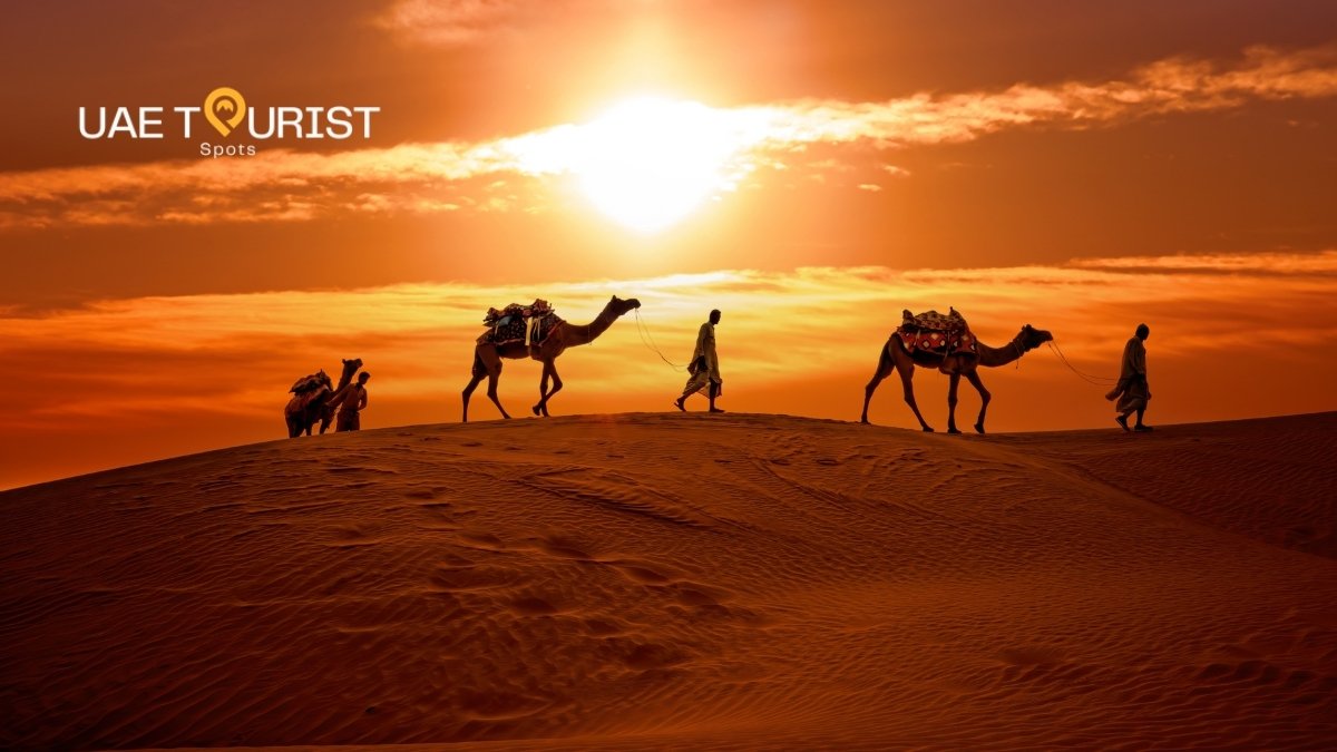 Evening Desert Safari