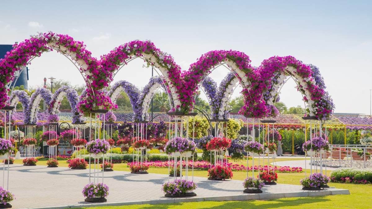Dubai Miracle Garden