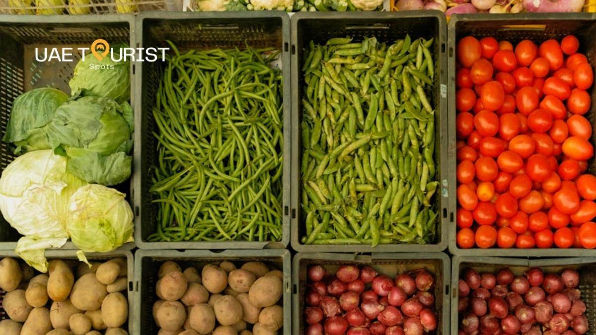 How Much Does Eating Out Cost in Dubai?
