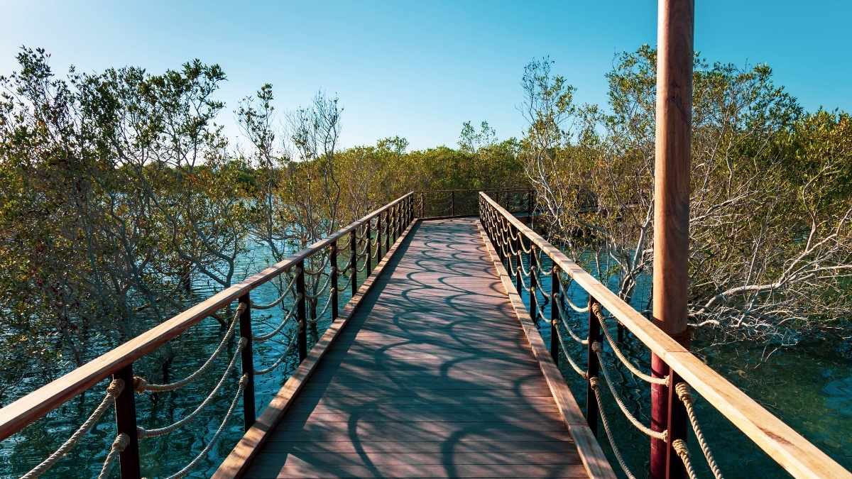 Jubail Mangrove Park