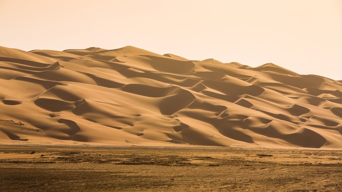 Liwa Oasis