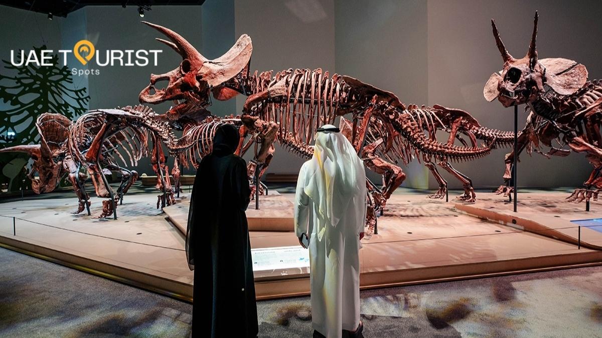 Natural History Museum Abu Dhabi