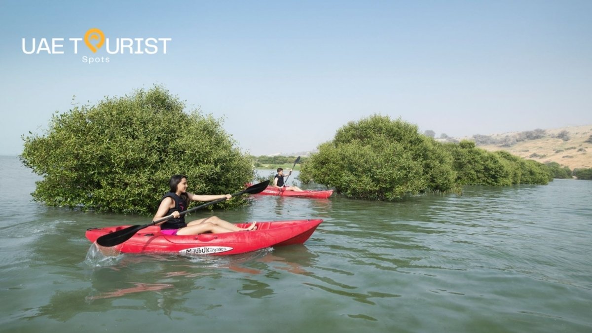 Ras Al Khaimah Mangroves