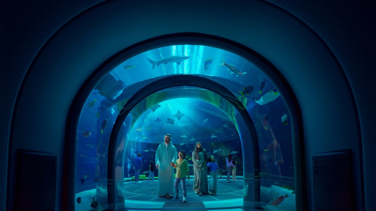 SeaWorld Yas Island, Abu Dhabi