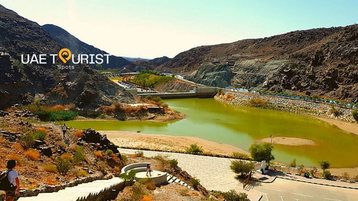 Wadi Shawka and Shawka Dam