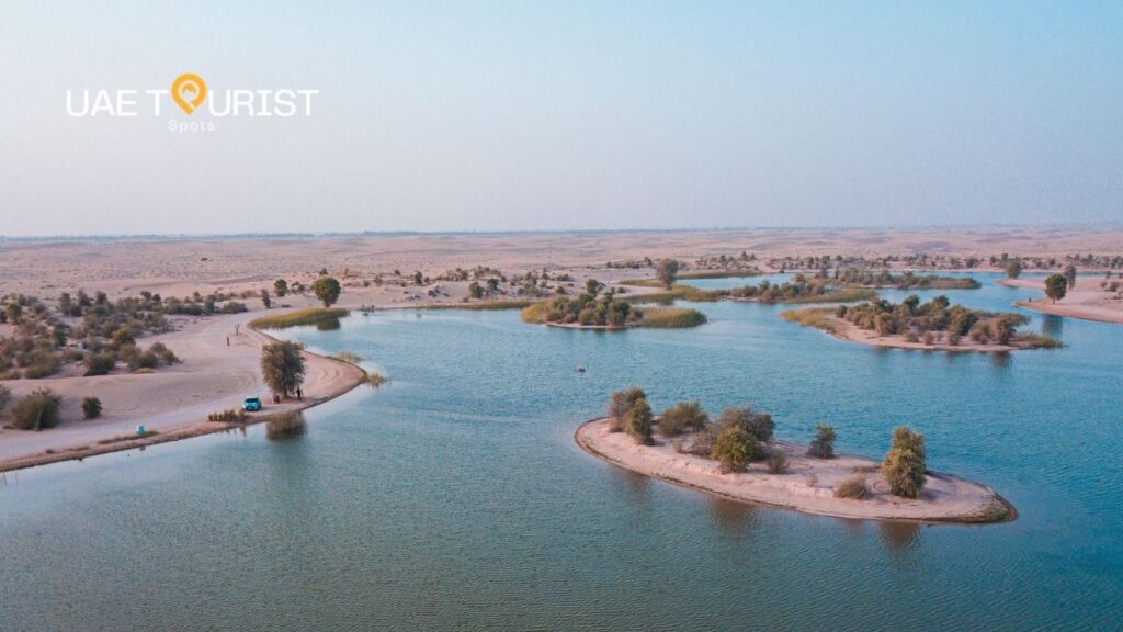 Al Qudra Lakes