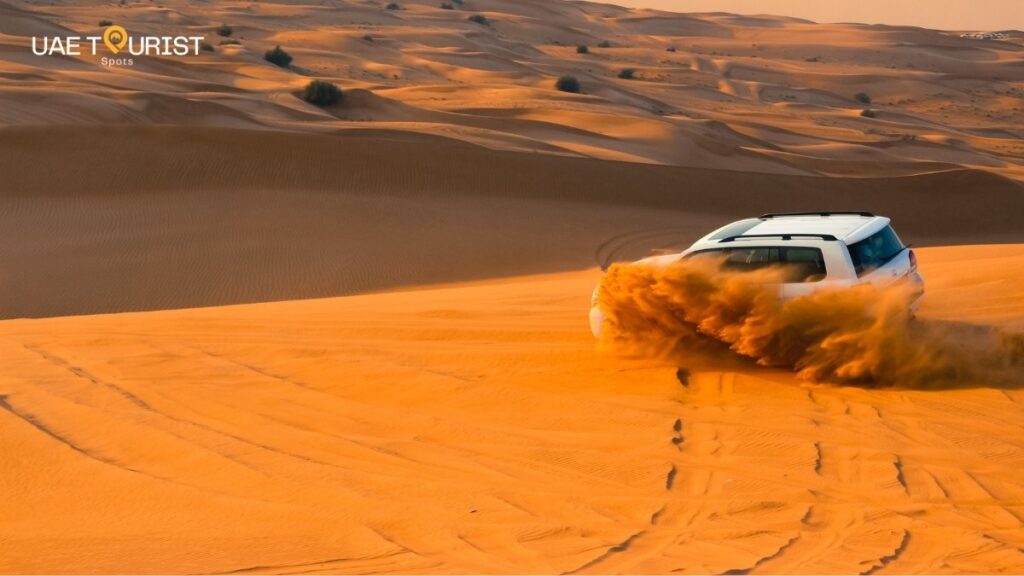 Morning vs Evening Desert Safari Dubai