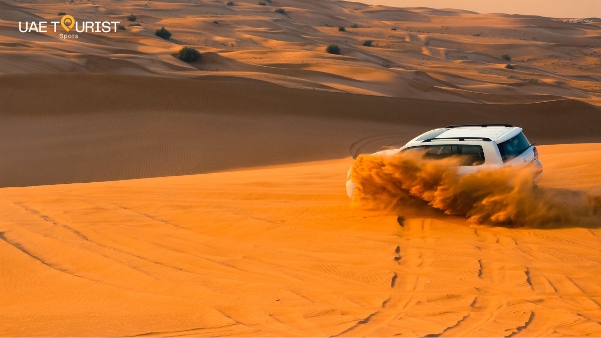 Morning vs Evening Desert Safari Dubai